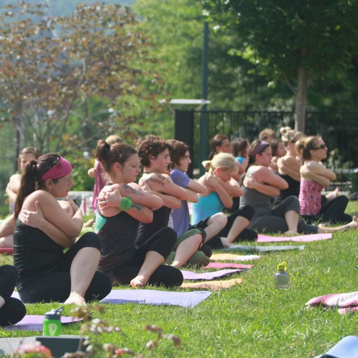Asheville Yoga in the Park