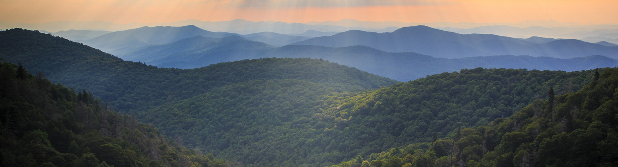 Tocqueville Masthead: Blue Ridge Mountains