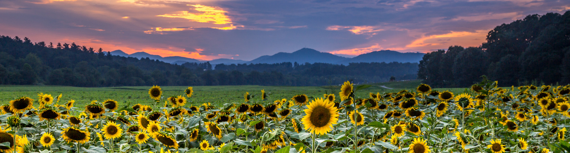 Peaks Masthead: Blue Ridge Mountains