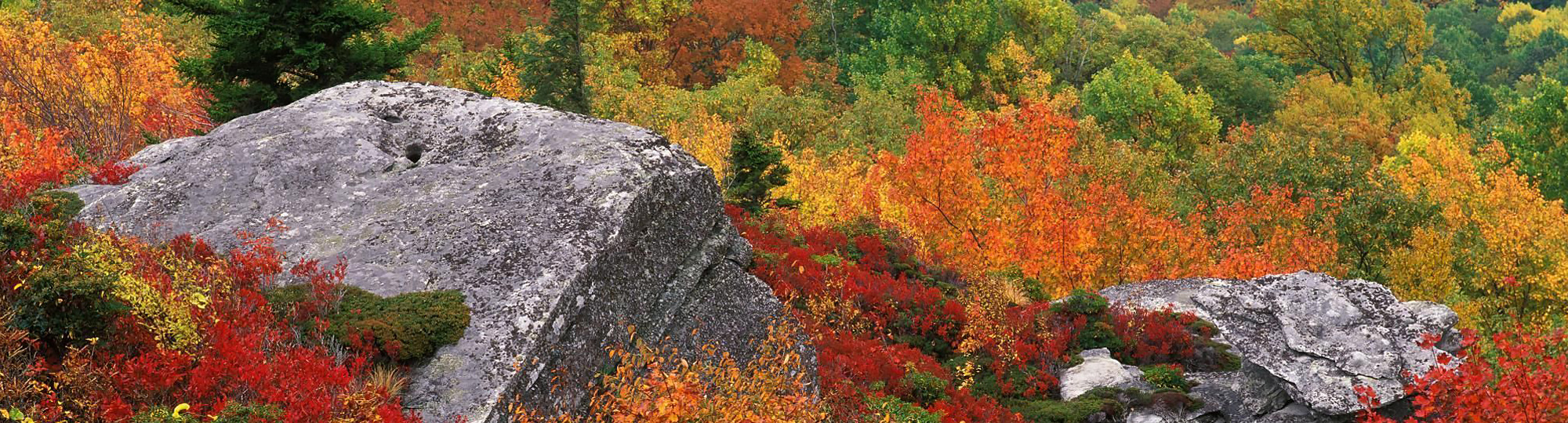 Highlands Circle Masthead: Blue Ridge Mountains