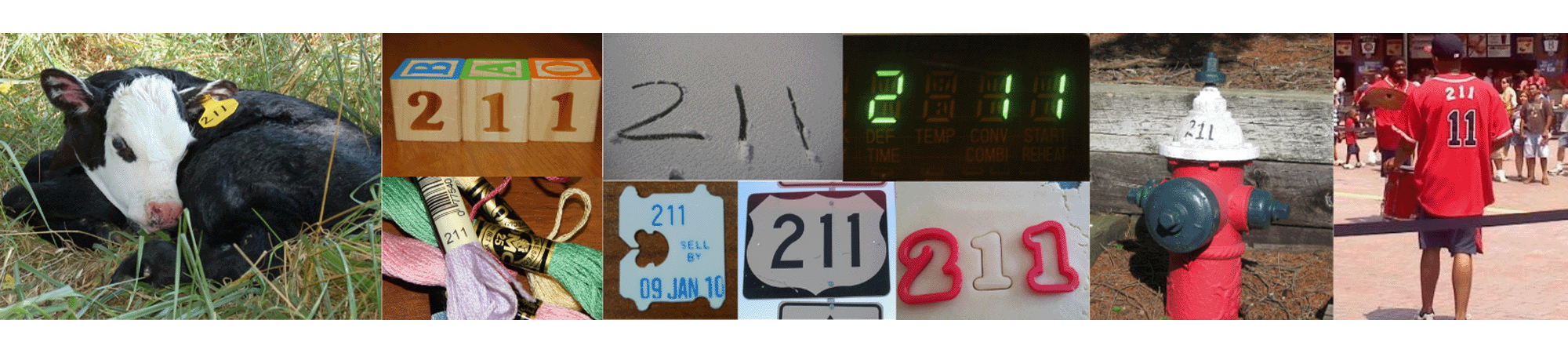 NC 211 Celebration